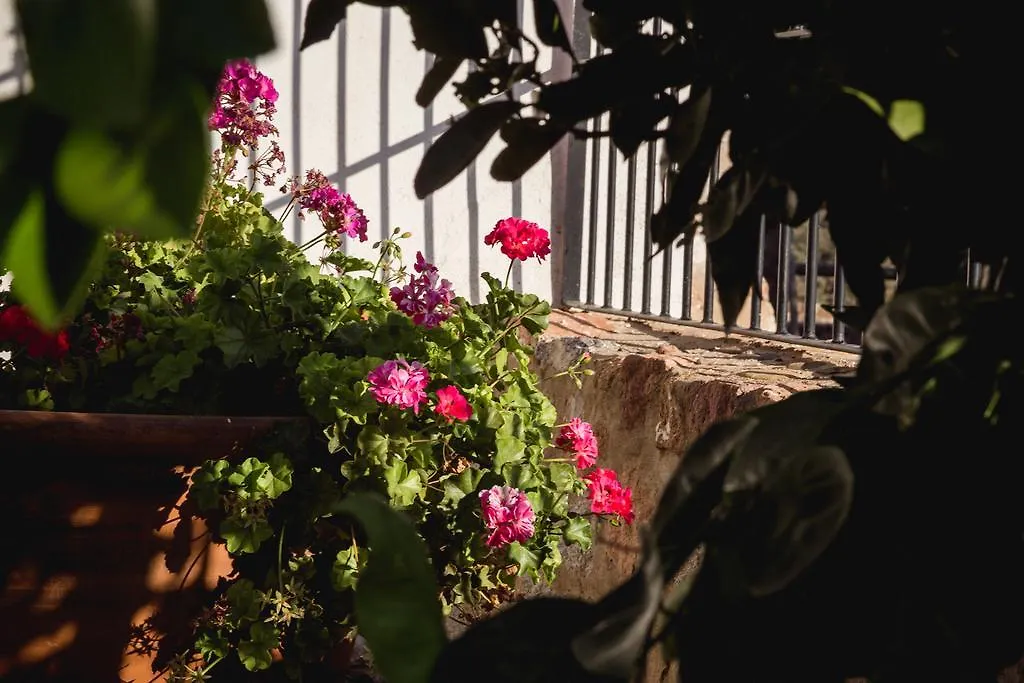 Cortijo La Panadera Guest House Pozoblanco
